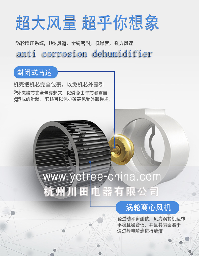 防腐飞跃电竞娱乐
.jpg
