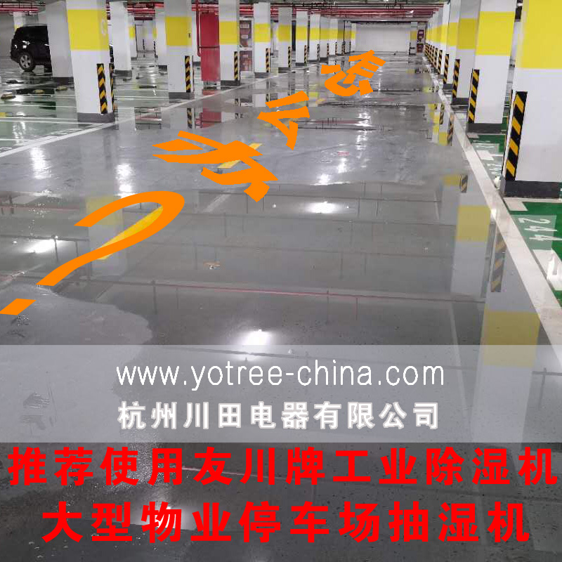 大型飞跃电竞娱乐
.jpg